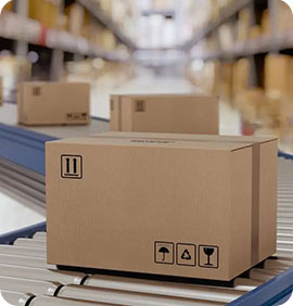 Quality Control & Packaging Unit